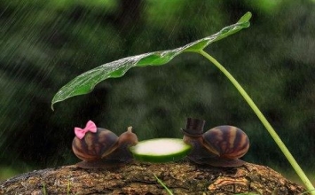 Con người do mê lầm nên sống trong đau khổ